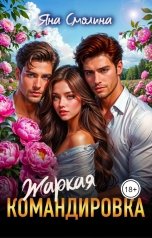обложка книги Яна Смолина "Жаркая командировка"