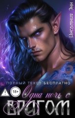 обложка книги Инсомния Энн "Одна ночь с врагом"