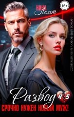 обложка книги Н.  Лелет "Развод. Срочно нужен новый муж!"