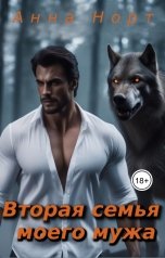 обложка книги Анна Норт "Вторая семья моего мужа"
