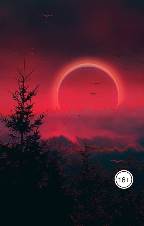 Обложка книги Джада Джеймс Город, который боялся заката