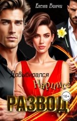 обложка книги Елена Винчи "Развод. Довыбирался Нарцисс."
