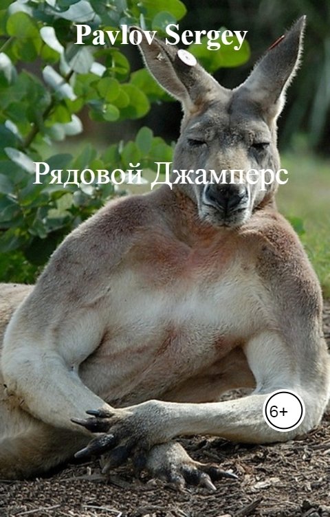 Обложка книги Pavlov Sergey Рядовой Джамперс