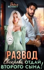 обложка книги Дарья Вельвет "Развод. Свекровь, отдай второго сына!"