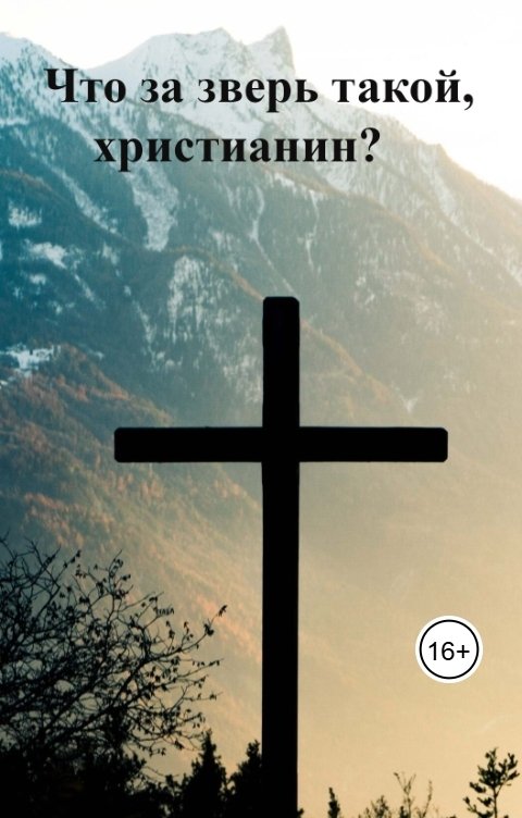 Обложка книги Геннадий Травников Что за зверь такой, христианин?