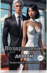 обложка книги Анастасия Новикова "Возвращение домой"