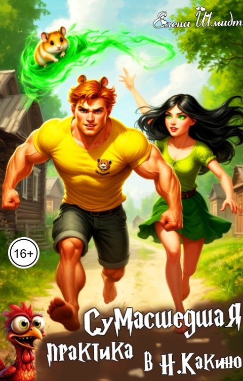 Обложка книги Елена Шмидт Сумасшедшая практика в Н. Какино