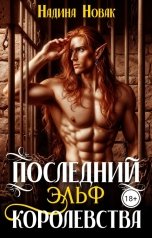 обложка книги Надина Новак "Последний эльф королевства"