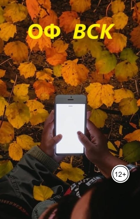 Обложка книги Alexander Binturong ОФ ВСК