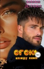 обложка книги Диана Зотова "Огонь между нами"