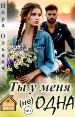 обложка книги Нора Ольвич "Ты у меня (не) Одна!"