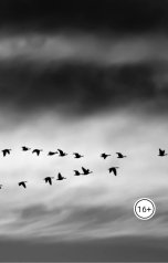 обложка книги Giga Godzilla, Гига Тиникашвили "Стая"