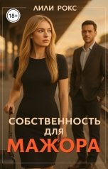 обложка книги Лили Рокс "Собственность для мажора"