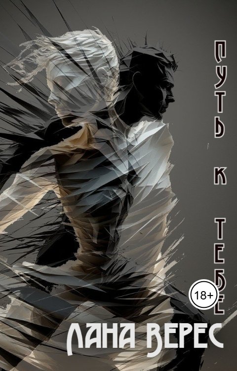 Обложка книги Лана Верес Путь к тебе