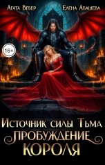 обложка книги Агата Вебер, Абашева Елена "Источник силы Тьма. Пробуждение Короля"