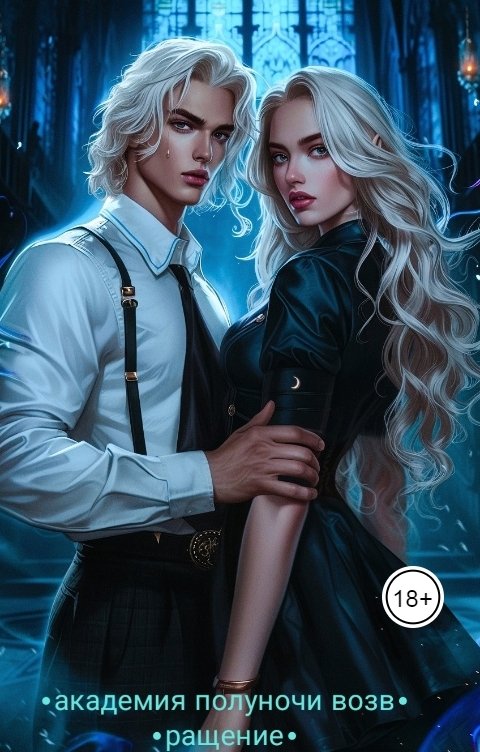 Обложка книги Tanya Bar Академия полуночи. Возвращение