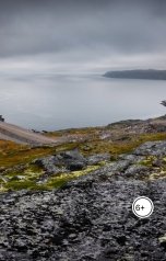 обложка книги ledovskyva "Сделка"