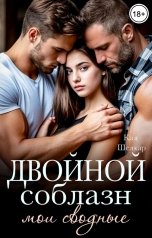 обложка книги Кая Шелкар "Двойной соблазн. Мои сводные"