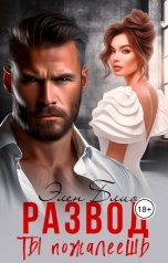 обложка книги Элен Блио "Развод. Ты пожалеешь"