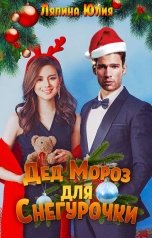 обложка книги Юлия Ляпина "Дед Мороз для Снегурочки"