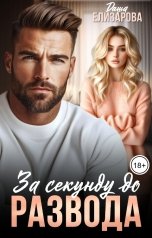 обложка книги Даша Елизарова "За секунду до развода"