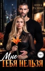 обложка книги Инна Разина "Мне тебя нельзя"