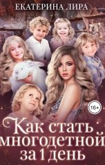 обложка книги Екатерина Вострова "Как стать многодетной за один день"
