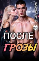 обложка книги Вика Жукова "После грозы"