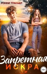 обложка книги Ронни Траумер "Запретная искра"
