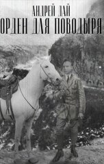 обложка книги Андрей Дай "Орден для Поводыря"