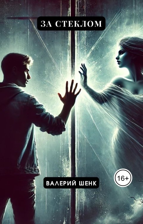 Обложка книги Валерий Шенк За стеклом