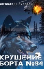 обложка книги Александр Зубенко "Крушение борта №84"