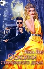 обложка книги Лиса Лав "Осколки стеклянного дома"