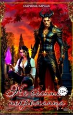 обложка книги Габриэль Керсси "Не бесите некроманта"