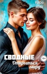 обложка книги Кара Мин "Сводные. Открыться миру"