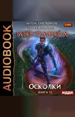 обложка книги Антон Емельянов и Сергей Савинов "Мир Карика. Книга 12. Осколки"