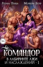 обложка книги Морвейн Ветер Чародейка и Инквизитор "В лабиринте лжи и наслаждений. Командор"