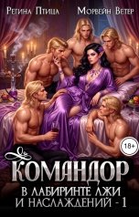 обложка книги Морвейн Ветер Чародейка и Инквизитор, Максин Шторм "В лабиринте лжи и наслаждений. Командор"