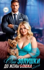 обложка книги Елена Рай "От Золушки до жены (бомжа) босса"