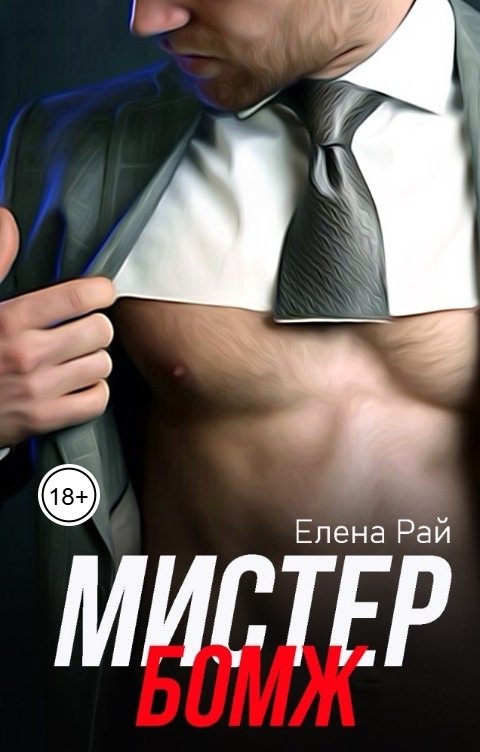 Обложка книги Елена Рай Мистер Бомж