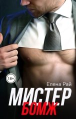 обложка книги Елена Рай "Мистер Бомж"