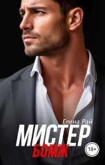 обложка книги Елена Рай "Мистер Бомж"