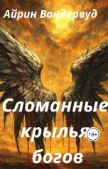 обложка книги Айрин Вандервуд "Сломанные крылья богов"
