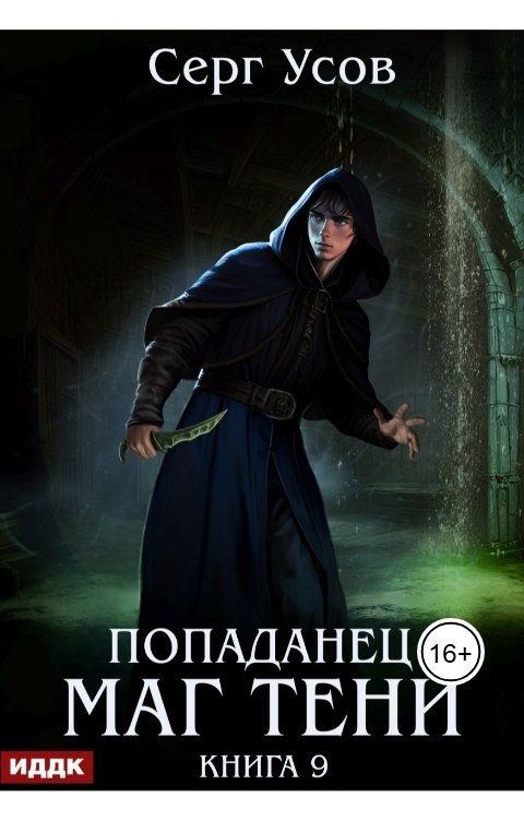 Попаданец. Маг Тени. Книга 9
