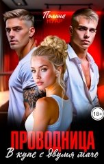 обложка книги Полина Нуар "Невинная проводница. В купе с двумя мачо"
