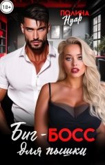 обложка книги Полина Нуар "Биг-босс для пышки"