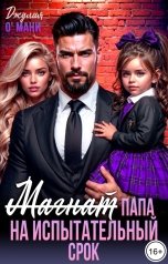обложка книги Джулия О Мани "Магнат. Папа на испытательный срок"
