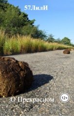 обложка книги 57ЛилИ "О Прекрасном"