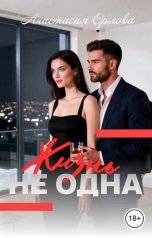обложка книги Анастасия Орлова "Не одна жизнь."