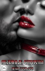 обложка книги Лена Шальная "Ледяные страсти"